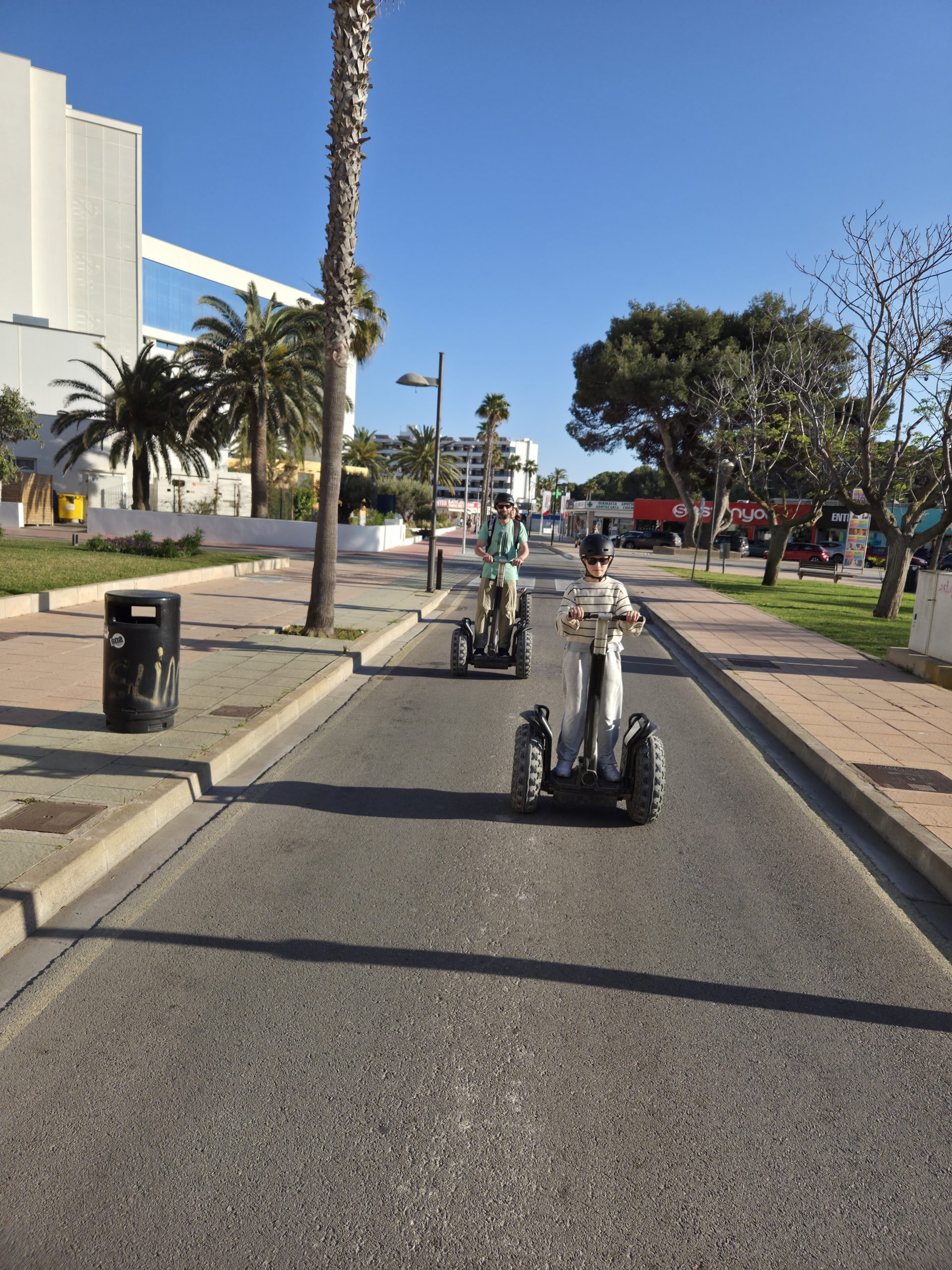 People riding Segways on a sunny street with palm trees.
