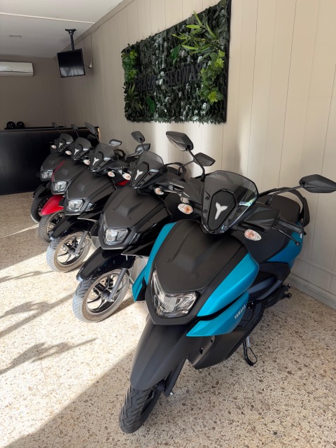 Row of motorcycles parked inside a showroom.