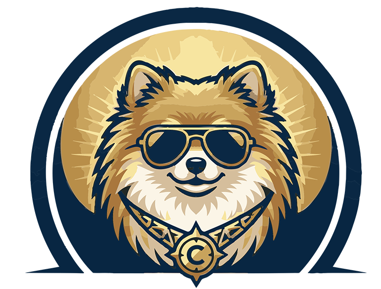 Logo of a dog with sunglasses above 'Crazy Tours & Rent' text.